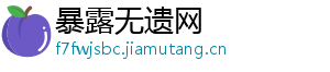 暴露无遗网